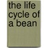 The Life Cycle Of A Bean