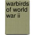 Warbirds Of World War Ii