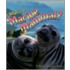 What Is A Marine Mammal?