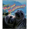 What Is A Marine Mammal? door Jacqueline Langille