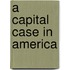 A Capital Case in America