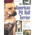 American Pit Bull Terrier