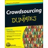 Crowdsourcing For Dummies door David Bratvold