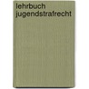 Lehrbuch Jugendstrafrecht door Helmut Janssen