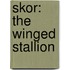 Skor: The Winged Stallion
