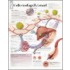 Understanding Cholesterol