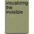 Visualizing the Invisible