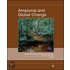 Amazonia and Global Change