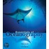 Essentials of Oceanography