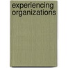 Experiencing Organizations door Yiannis Gabriel