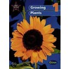 New Star Science Year 1/P2 by Rosemary Feasey