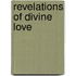 Revelations Of Divine Love