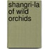 Shangri-La Of Wild Orchids