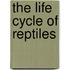 The Life Cycle Of Reptiles