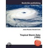 Tropical Storm Zeke (1992) by Ronald Cohn