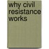 Why Civil Resistance Works