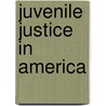 Juvenile Justice in America door Stuart Miller