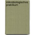 Mikrobiologisches Praktikum