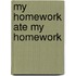 My Homework Ate My Homework