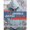 The Juvenile Justice System door Dean J. Champion