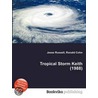 Tropical Storm Keith (1988) by Ronald Cohn