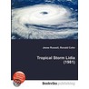 Tropical Storm Lidia (1981) by Ronald Cohn