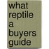 What Reptile A Buyers Guide