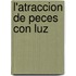 L'Atraccion de Peces Con Luz