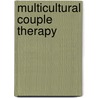 Multicultural Couple Therapy door Volker Thomas