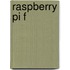Raspberry Pi f