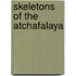 Skeletons of the Atchafalaya