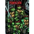Teenage Mutant Ninja Turtles