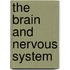 The Brain And Nervous System