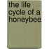The Life Cycle Of A Honeybee