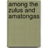 Among The Zulus And Amatongas