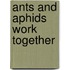 Ants And Aphids Work Together