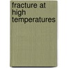 Fracture at High Temperatures door Hermann Riedel