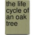 The Life Cycle Of An Oak Tree
