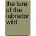 The Lure of the Labrador Wild