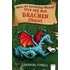 Wer Mit Den Drachen Fl