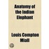 Anatomy Of The Indian Elephant