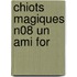 Chiots Magiques N08 Un Ami for