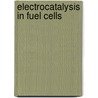 Electrocatalysis in Fuel Cells door Minhua Shao