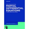 Partial Differential Equations door Rainer Picard