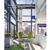 Shelton, Mindel and Associates