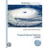 Tropical Storm Patricia (2009) door Ronald Cohn