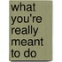What You're Really Meant to Do