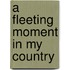 A Fleeting Moment in My Country