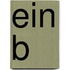 Ein B