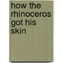How the Rhinoceros Got His Skin